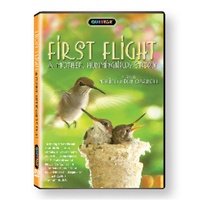 DVD First Flight: A Mother Hummingbirds Story