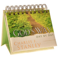Daybrighteners: God's Way Day By Day (Padded Cover)
