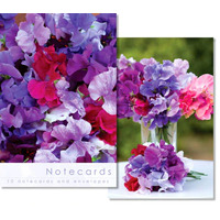 Notecards: Sweet Peas