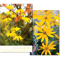 Notecards: Rudbeckia Flowers