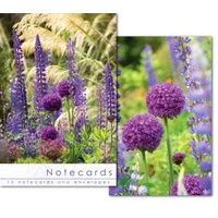Notecards: Alium Heads