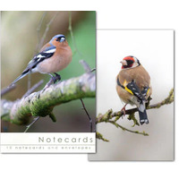 Notecards: Chaffinch and Goldfinch (No Scripture)
