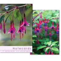 Notecards: Fuschia Close Ups - Blank Cards