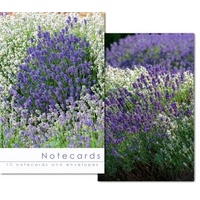 Notecards - Lavender Varieties
