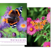Notecards: Butterfly On Flowers - Blank