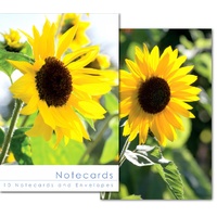 Notecard Wallet - Sunflowers (10 cards)