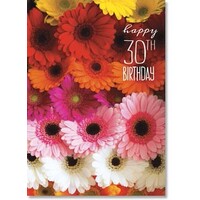 Happy 30th Birthday - Gerberas