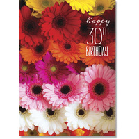 Happy 30th Birthday Card - Gerbras