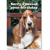 Sorry I Missed Your Birthday - Bassett On Bench