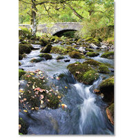 Greeting Card - Blank Inside - Flowing Stream