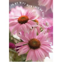 Wife Anniversary Card - Pink Echinacea