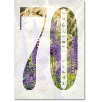 Happy Birthday : Summer Border 70th