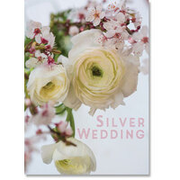 Congratulations On Your Silver Wedding Card