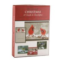 Christmas Boxed Cards: Winter Birds (12 cards, 3 each of 4 designs)