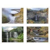 Boxed Cards: Praying For You Waterfalls (12 cards, 3 each of 4 designs)