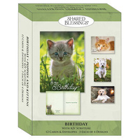 Boxed Cards: Birthday Puppies and Kittens (12 cards, 3 each of 4 designs)
