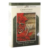 Christmas Boxed Cards: Hope Is Born Anew (12 cards, 1 design)