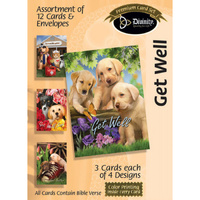 Boxed Cards Get Well: Puppies
