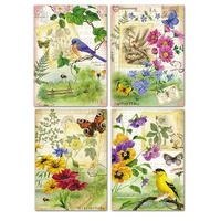 Praying for You, Country Wanderings (12 Boxed Cards)