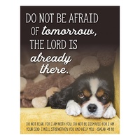 Shape Magnet: Do Not Be Afraid