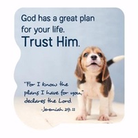 Shape Magnet - Trust Him