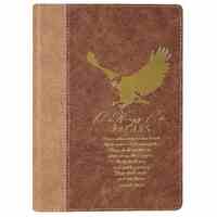 Lux Journal: On Wings Like Eagles