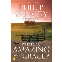 What's So Amazing About Grace Study guide