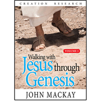 Walking with Jesus through Genesis