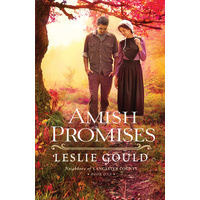 Amish Promises