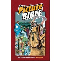 The Picture Bible (Hardcover)