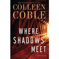 Where Shadows Meet: A Romantic Suspense Novel