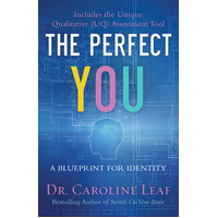 The Perfect You: Blueprint For Identity