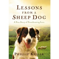 Lessons From A Sheepdog