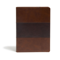 KJV Study Bible Full-Color Saddle Brown