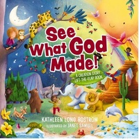 See What God Made!: A Creation Story Lift-the-Flap Book