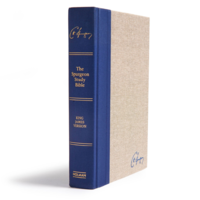 KJV Spurgeon Study Bible Navy/Tan