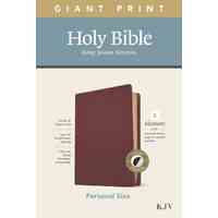 KJV Personal Size Giant Print Bible Filament Enabled Edition Indexe Burgundy (Red Letter Edition)