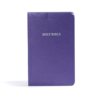 KJV Gift and Award Bible Purple (Red Letter Edition)