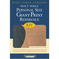 KJV Personal Size Giant Print Reference Bible