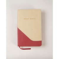 KJV Personal Size Giant Print Reference Bible Brick Red/Sand Flexisoft