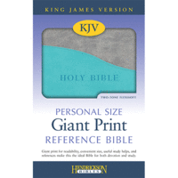 KJV Personal Size Giant Print Reference Bible Turquoise/Grey Flexisoft
