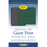 KJV Personal Size Giant Print Reference Bible Dark Green/Brown