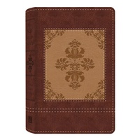 KJV Study Bible Dicarta Heritage Tan/Cream