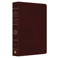 KJV Study Indexed Bible Burgundy