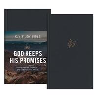 KJV God Keeps His Promises Study Bible Slate