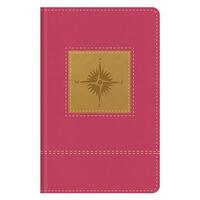 Go-Anywhere KJV Study Bible (Pink Compass)