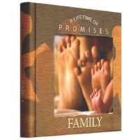 A Lifetime Of Promises