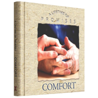 A Lifetime Of Promises - Comfort