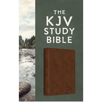 The KJV Study Bible [Chestnut Brown Fish]